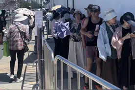 观察｜当博物馆取消预约“一刀切”后图片