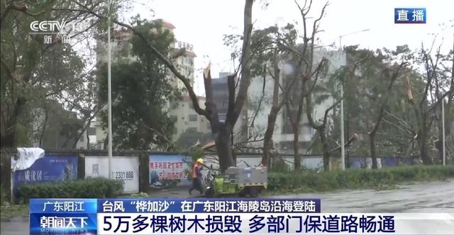 台风过后广东阳江多部门保道路畅通