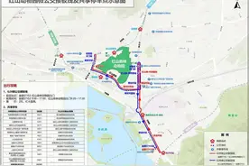 去南京热门景区最好外围停车，公交接驳加地铁可轻快畅游图片