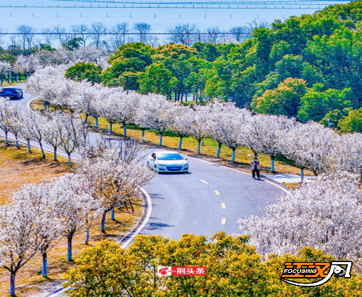 跟着地图赏秋色 荆州发布城区“落叶缓扫”地图