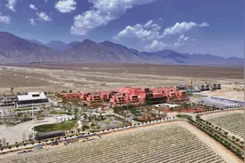 当马拉松邂逅葡萄酒 酒旅融合绘出贺兰山下新风景图片