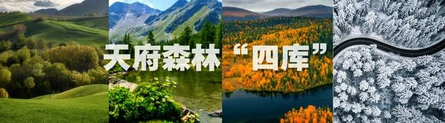 诗意山水只此青绿