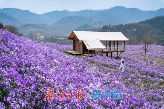 藏在济南的春日秘境！九如山繁花漫卷，解锁泉城踏青新方式