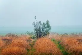 洞庭湖 | 大湖之洲，四季变换之景令人陶醉图片