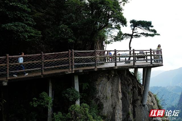 湘粤交界的绿宝石，探秘莽山国家森林公园的自然传奇