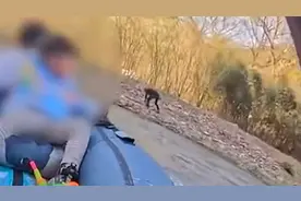 马上评丨带娃漂流遭扔鹅卵石，景区如此待客太败好感图片