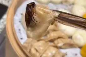 游客在长沙一酒店吃出蒸熟蟑螂，酒店称赔偿200元，当地市监部门介入图片