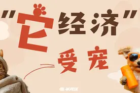 柯铭、老李、张政，三位“宠咖”讲如何宠好一亿“小可爱”图片