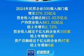 中国民企500强出炉！（附榜单）图片