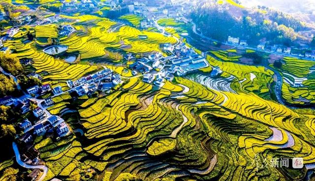 “陕西赏花地图”来了