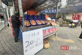 一筐8斤只要15元！年后砂糖橘开启“跳水”模式图片