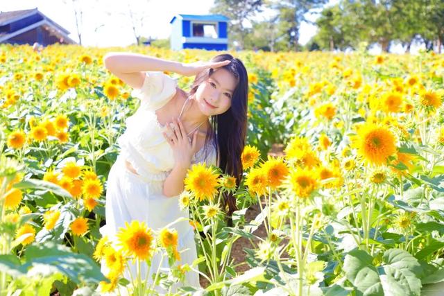 寒露凝秋色 花绽景常新