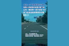 “小飞机掉落公路”涉事公司发声：教员带客户10岁孩子体验飞行，发动机故障紧急迫降图片