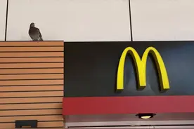 香港记事｜生命的日常普通图片