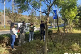 昆明至景洪至磨憨高速公路（高新区段）路域环境绿化美化绿色廊道工程顺利终验图片