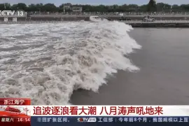 追波逐浪看钱塘江大潮！近距离观赏回头潮的汹涌澎湃图片