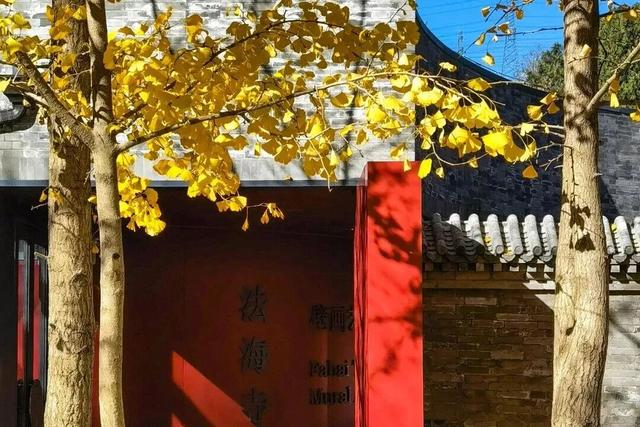 人少景美！北京这些古刹红叶正在最佳观赏期！