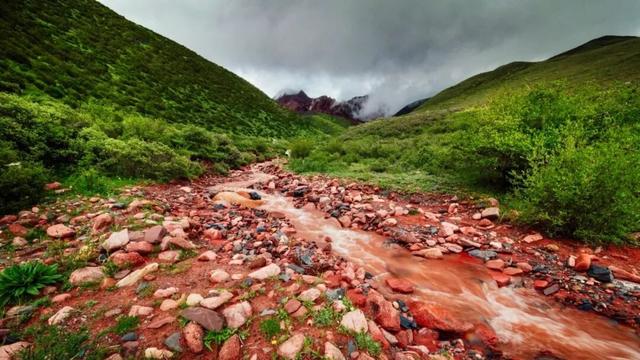 今天没有上班，也没有错过隐藏款新龙红山