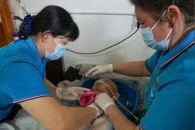 30万护理员 VS 3500万失能老人，“人才荒”如何解｜长护险扩围探路图片