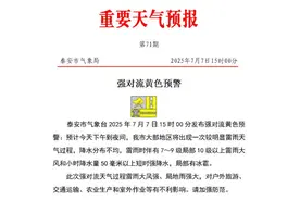 闪电气象吧丨泰安发布重要天气预报：局部有冰雹、10级以上雷雨大风！图片