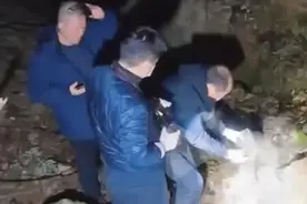 发现男尸！警方回应图片