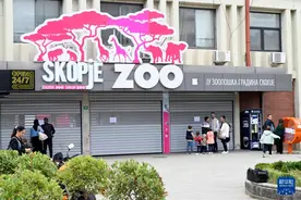 北马其顿首都动物园因禽流感关闭图片