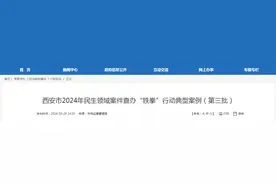 西安市2024年民生领域案件查办“铁拳”行动典型案例（第三批）图片