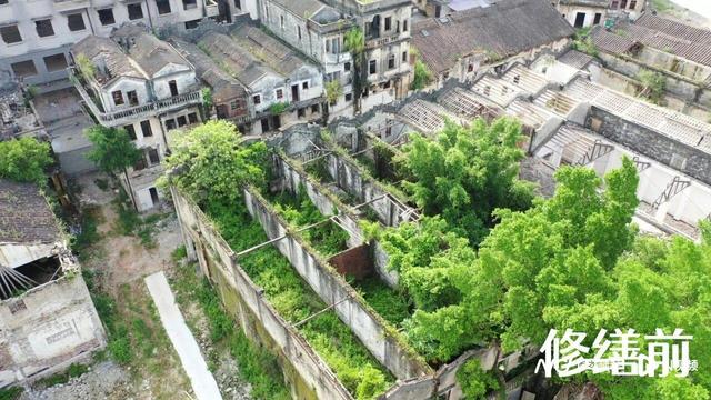 投资60亿、迎客千万！赤坎华侨古镇成大湾区文旅消费新地标