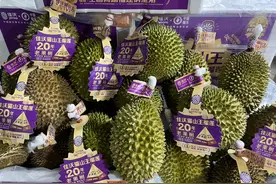 “报恩”榴莲打飞的！广州开售新鲜猫山王图片