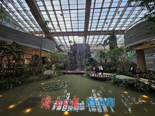 一年四季 泉在济南丨游鹊华中新园 市民打卡热度不减