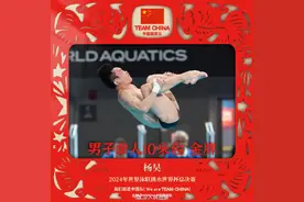 祝贺！跳水世界杯总决赛中国队8金收官图片
