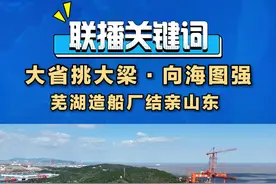 大省挑大梁·向海图强｜芜湖造船厂结亲山东图片