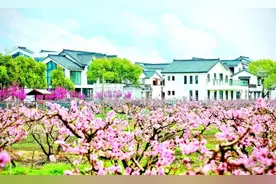 成就“桃源”精彩图片