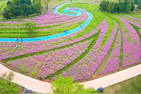 免票、优惠！江西这些景区发布通知图片