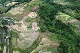 贵州金沙清池镇千亩梯田披“绿装”图片