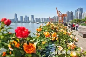 上海（国际）花展开幕啦！家门口赏花，超出片！亮点全剧透→图片