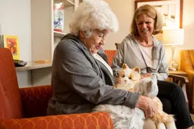 环球视角：机器宠物风靡美国，可对抗“孤独流行病”老年新宠图片