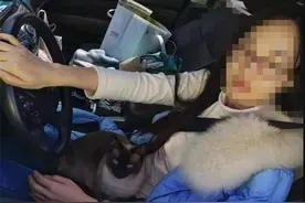 抱着宠物猫开车？交警提醒：小心引发事故图片
