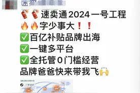 速卖通发布百亿补贴品牌出海计划，首批招募1000品牌商家图片