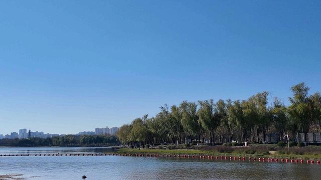 一键收藏！地铁直达的初冬漫步好去处！