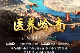 今晚8点央视见！广东中医天团来了！图片