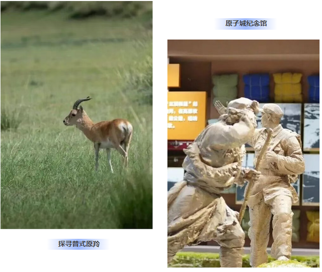 2026大皖研学夏令营·青海篇｜移动城堡房车6日营