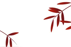 生物多样性｜元宵说鸮：探秘上海市的猫头鹰图片