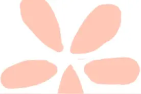 非遗大师工作室 | 海派非遗插花与中式美学图片