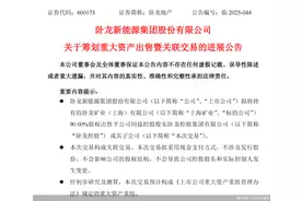 舍弃旧能源、拥抱新能源，“地产+新能源”能否拯救卧龙地产？图片