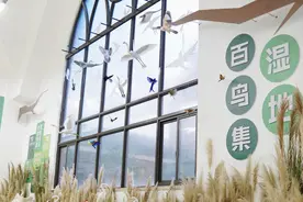 “含鸟量”超高！校园里的鸟类博物馆来了图片