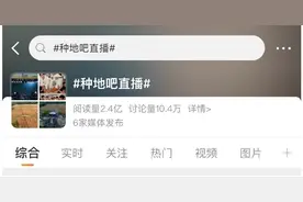 十个勤天卖郁金香上热搜，2400份郁金香被“秒抢”图片