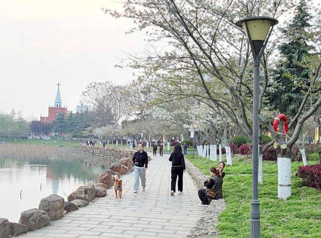 美翻了！天门最美樱花大道浪漫上线