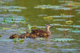 河北美丽河湖，秦皇岛+2图片