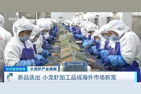 旺季来临销量明显增加 小龙虾加工品成海外市场新宠图片